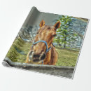 Search for horses wrapping paper Farmhouse