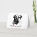 Search for about photo cards Dog