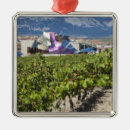 Search for basque country christmas tree decorations Province