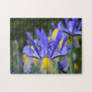 Search for yellow iris Bloom