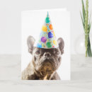 Search for purebred cards Puppy