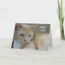 Search for cute animal thinking of you cards Kitty