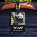 Search for china travel accessories Bear