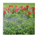 Search for scenic tiles Floral