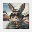 Search for bunnies magnets Animal