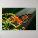 Search for monarch butterfly art Cute