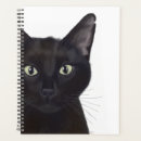 Search for gus Black cats