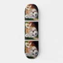 Search for cute panda skateboards Girly