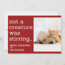 Search for not a creature was stirring seasonal cards Cat