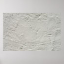 Search for plaster posters White