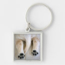 Search for dog butt key rings Cute