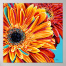 Search for burst posters Floral