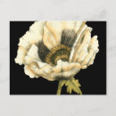 Search for flower postcards Black