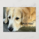 Search for i miss you postcards Pets