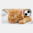 Search for ginger iphone cases Kitten