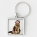 Search for brown cat key rings Nature