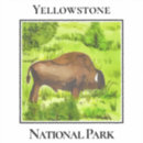 Search for bison landscape stickers National park