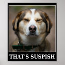 Search for joke motivational posters Humour