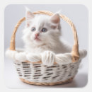 Search for wicker stickers Cute