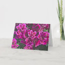 Search for geranium cards Pink