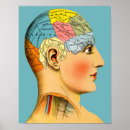 Search for phrenology head posters Anatomy