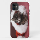 Search for length iphone cases Domestic cat