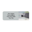 Search for parrots the labels African grey