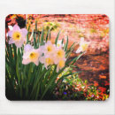 Search for white daffodil mousepads Floral