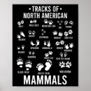 Search for american wildlife posters Camping