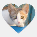 Search for cute eye stickers For kids