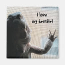 Search for bearded dragon magnets Cute