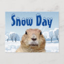 Search for weather forecast postcards Groundhog