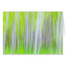 Search for aspen tree Green