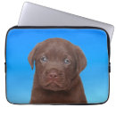 Search for chocolate lover electronics Dogs