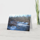 Search for wetlands cards Winter