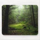 Search for tree trunk mousepads Woods