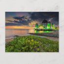 Search for environmental issues Malaysia