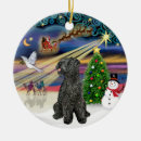 Search for kerry blue terrier Dogs