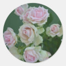 Search for beautiful garden stickers Rose
