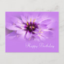 Search for happy birthday daisy flower postcards Purple