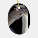 Search for rat christmas tree decorations Animals