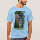 Search for american saddlebred clothing Horse