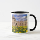 Search for surround mugs Flower