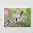 Search for abstract galleries cards Nobody