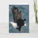 Search for patriotic photo cards Picture