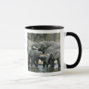 Search for african elephant mugs Mammal