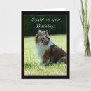 Search for sheltie birthday cards Funny
