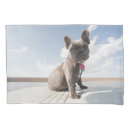 Search for french bulldog pillowcases Domestic animals