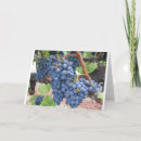 Search for valley cards Grapes