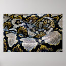 Search for yellow snakes posters Python
